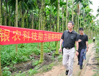 不斷創(chuàng)新納米農(nóng)藥，“銀農(nóng)三寶”助力檳榔提質(zhì)增收